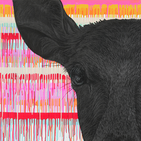 Linking・Zooming・Floating