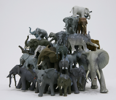 untitled / Elephantmountain 2010