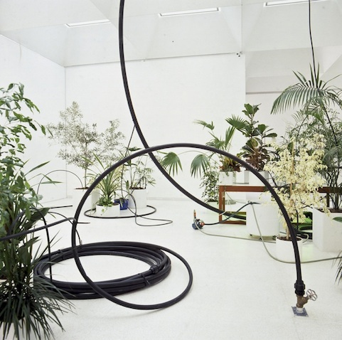 Quand l'Eau devient Verte