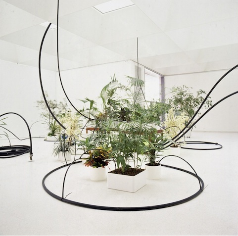 Quand l'Eau devient Verte