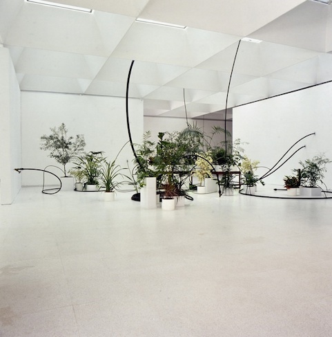 Quand l'Eau devient Verte