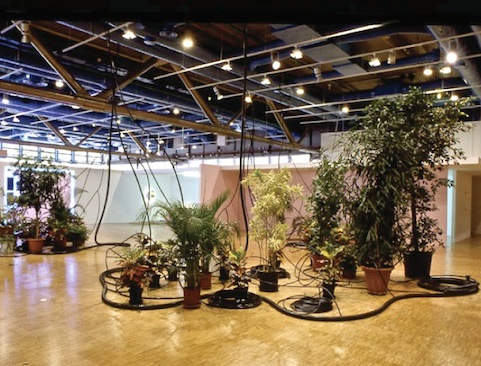 Quand l'Eau devient Verte