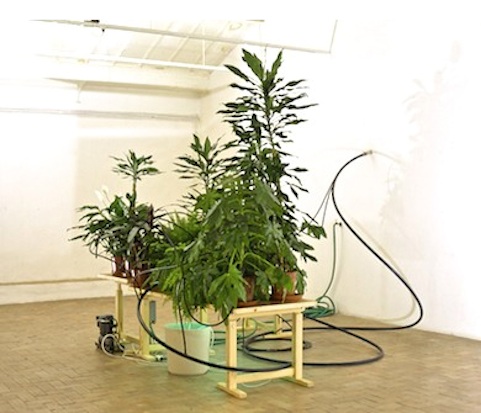 Quand l'Eau devient Verte