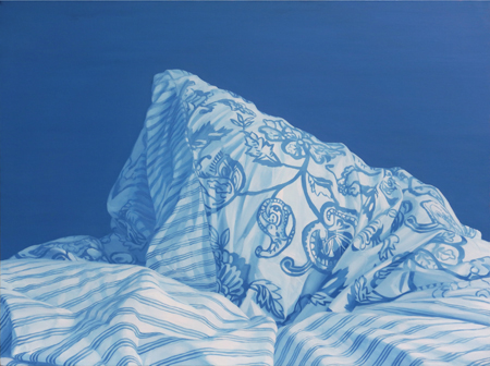 藤原康博「覆う -Cover-」 : �ʐ^1